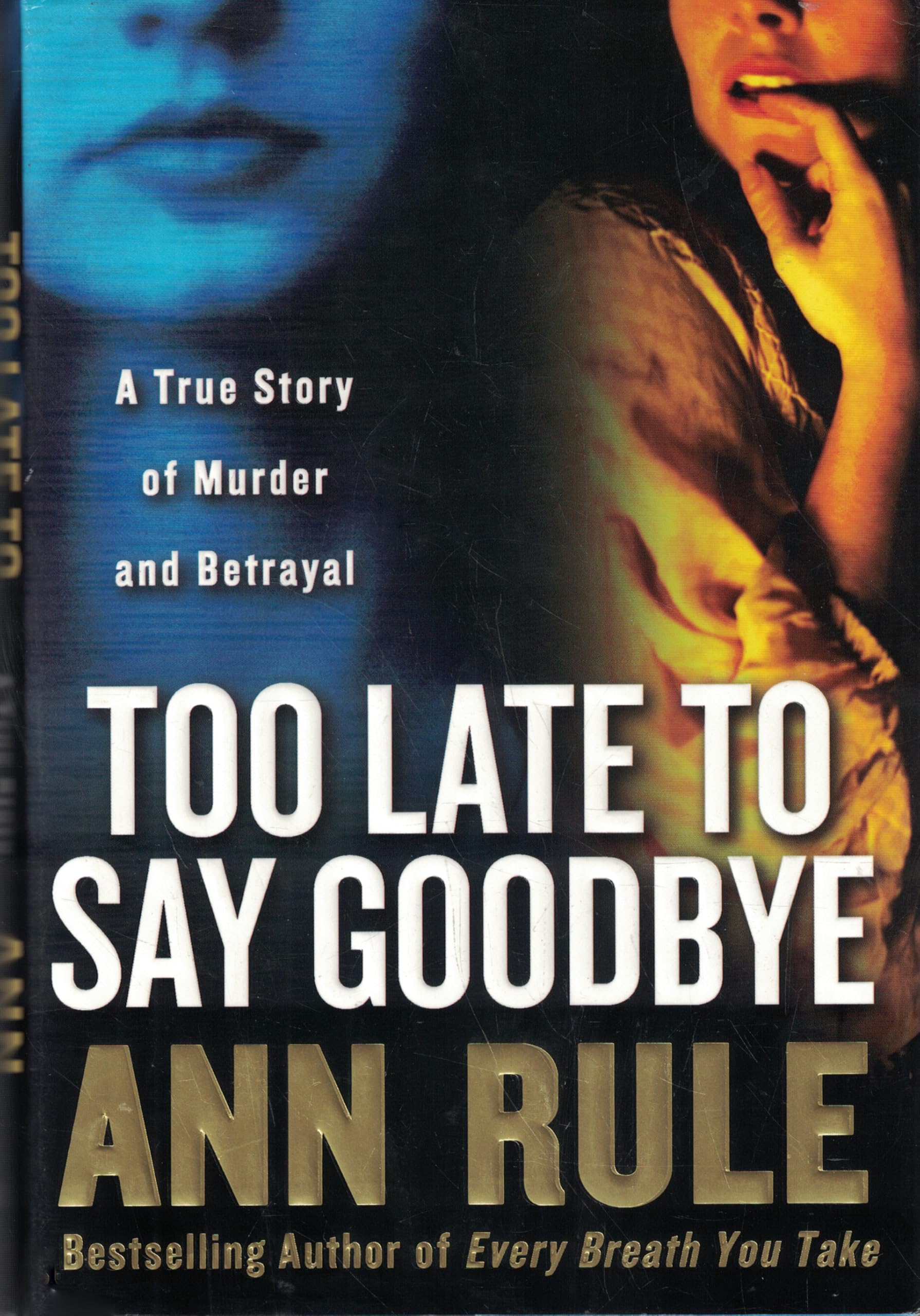 Too Late to Say Goodbye: A True Story of Murder and Betrayal Politics & Society