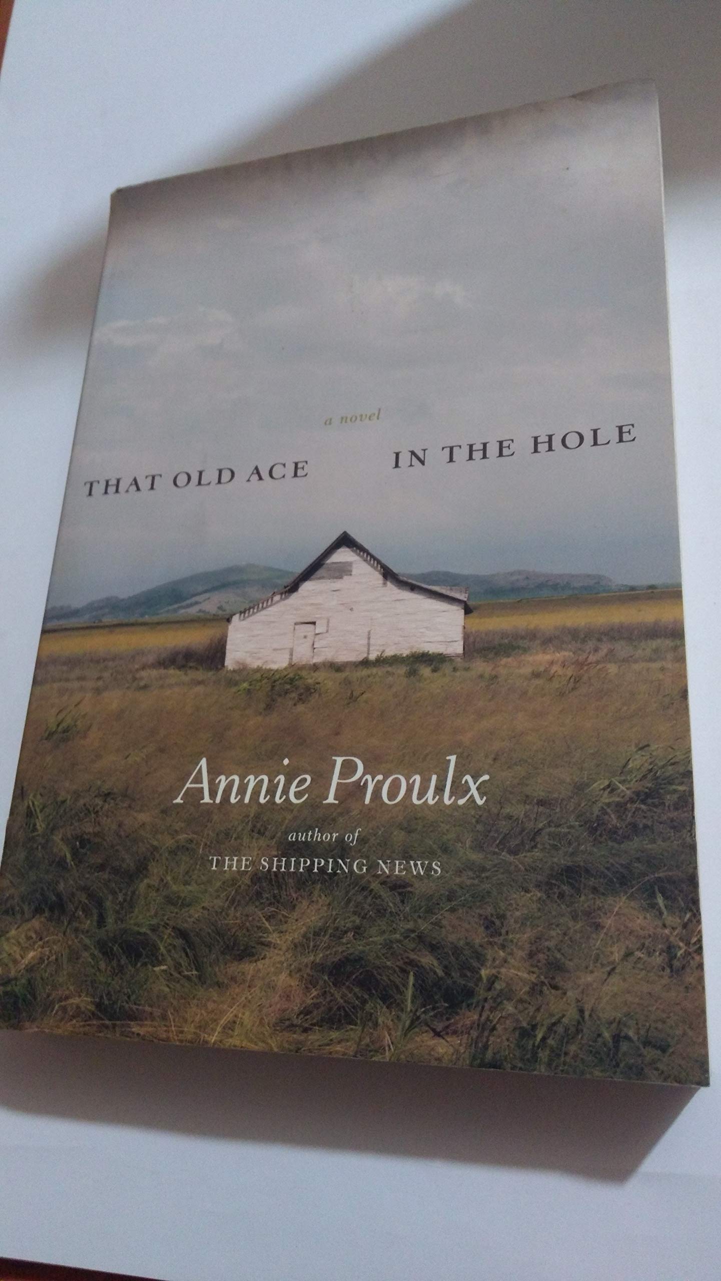 That Old Ace in the Hole: A Novel Contemporary literature