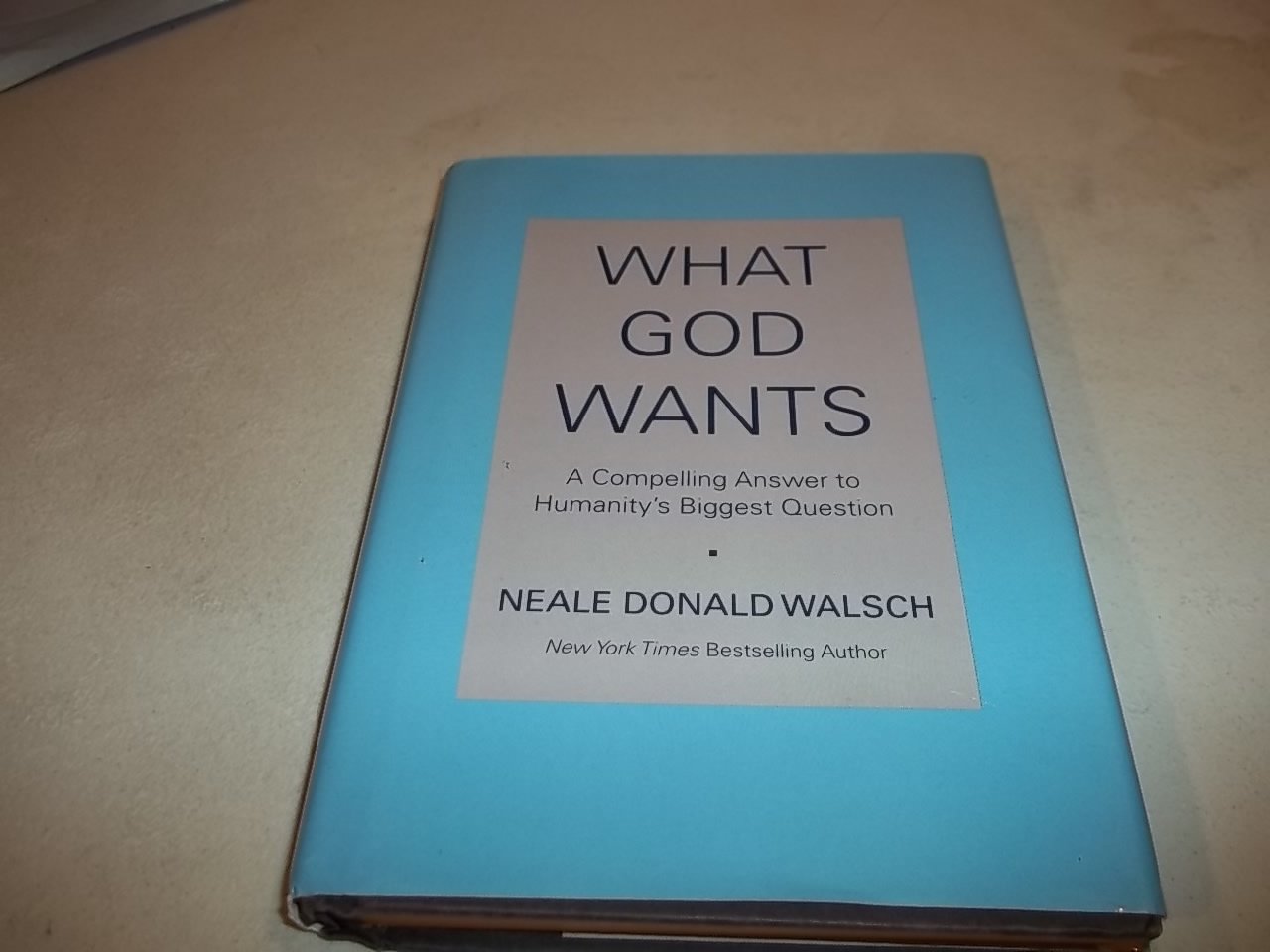 What God Wants: A Compelling Answer to Humanity's Biggest Question Philosophy