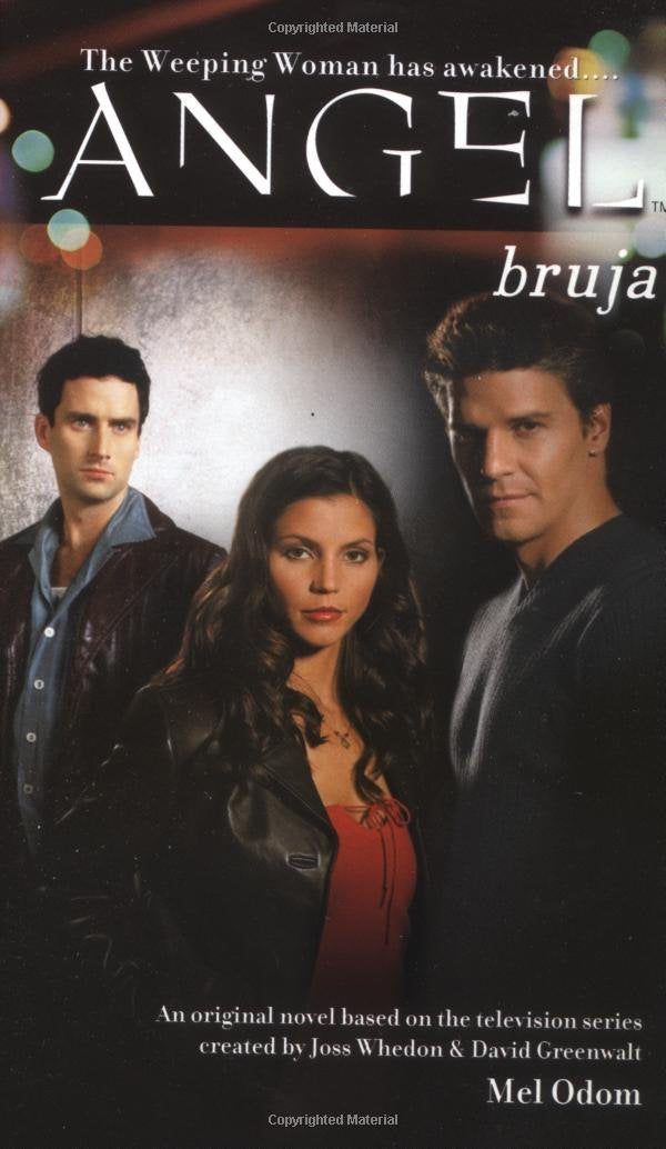 Bruja (ANGEL, Band 9) Horror & Mystery