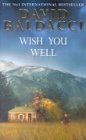 Wish You Well Contemporary literature Books