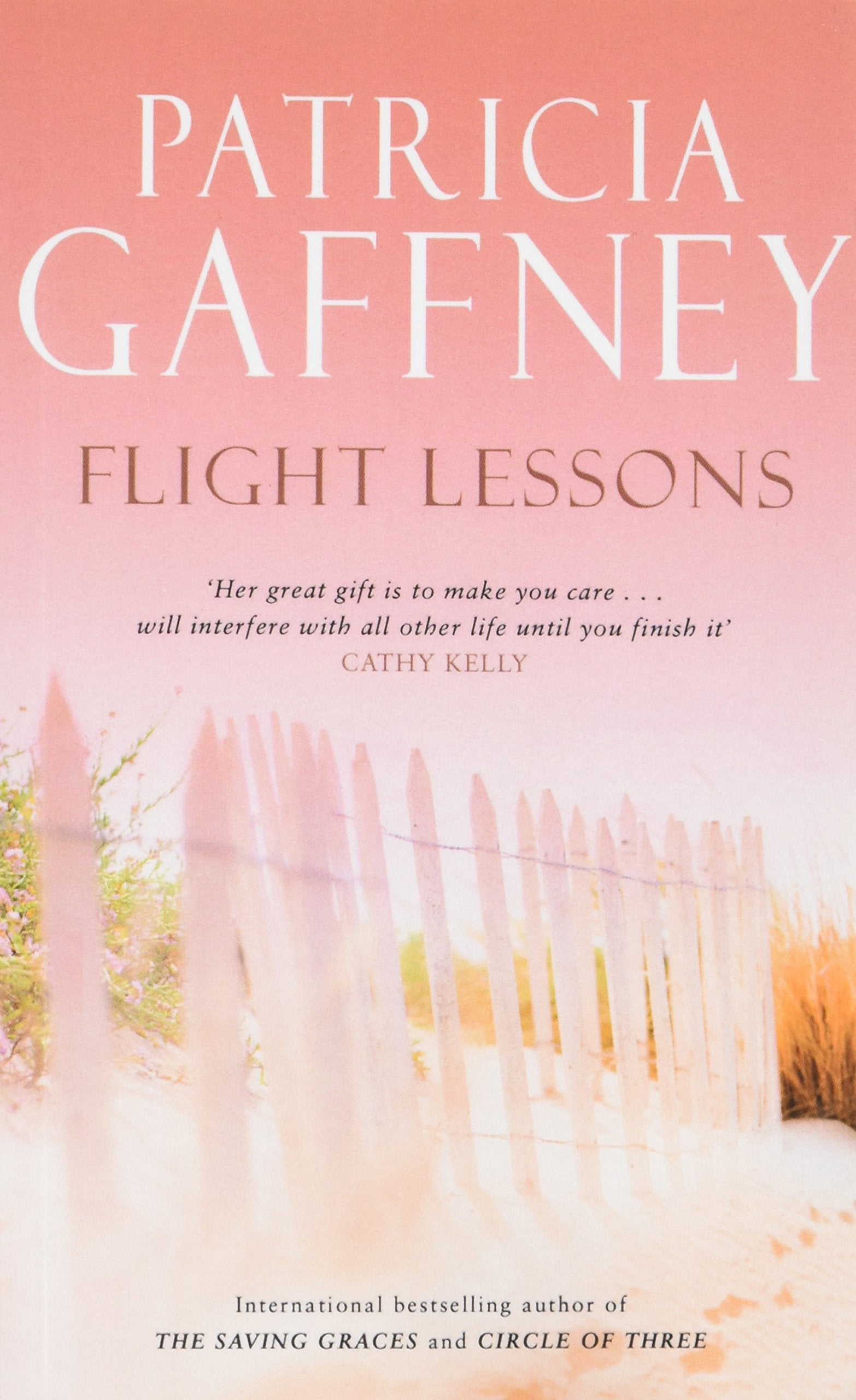 Flight Lessons Contemporary literature Books