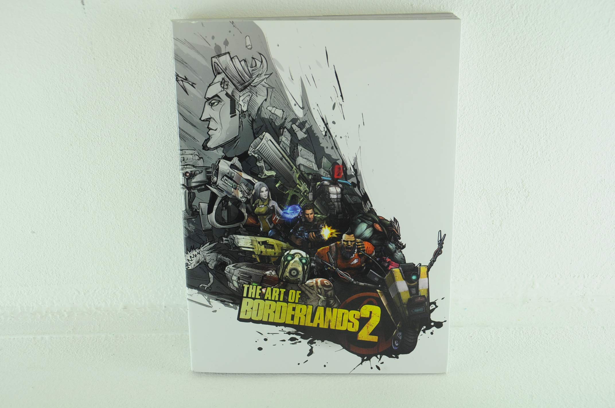 The Art of Borderlands 2 Computer Science