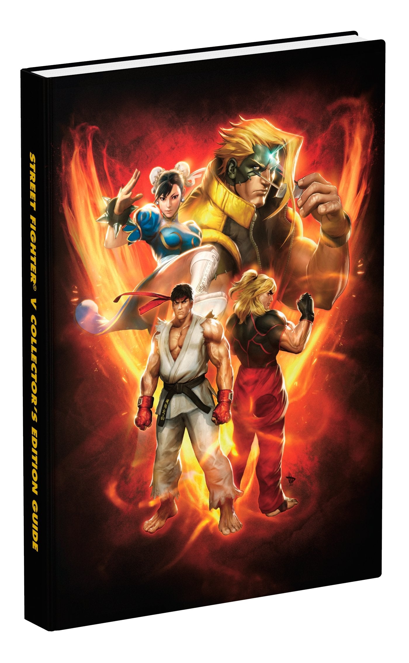 Street Fighter V Collector's Edition Computer Science