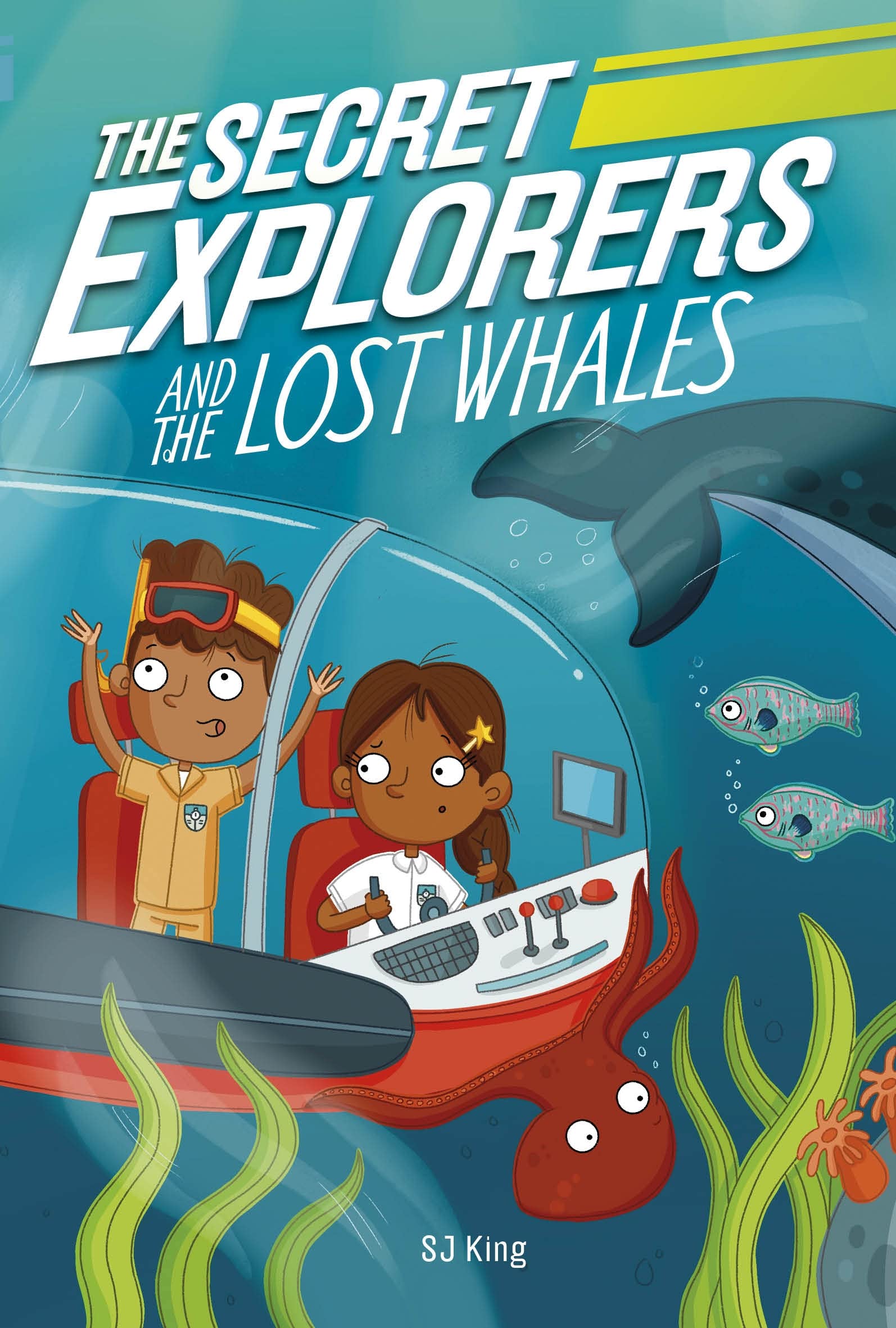 The Secret Explorers and the Lost Whales Study Guides