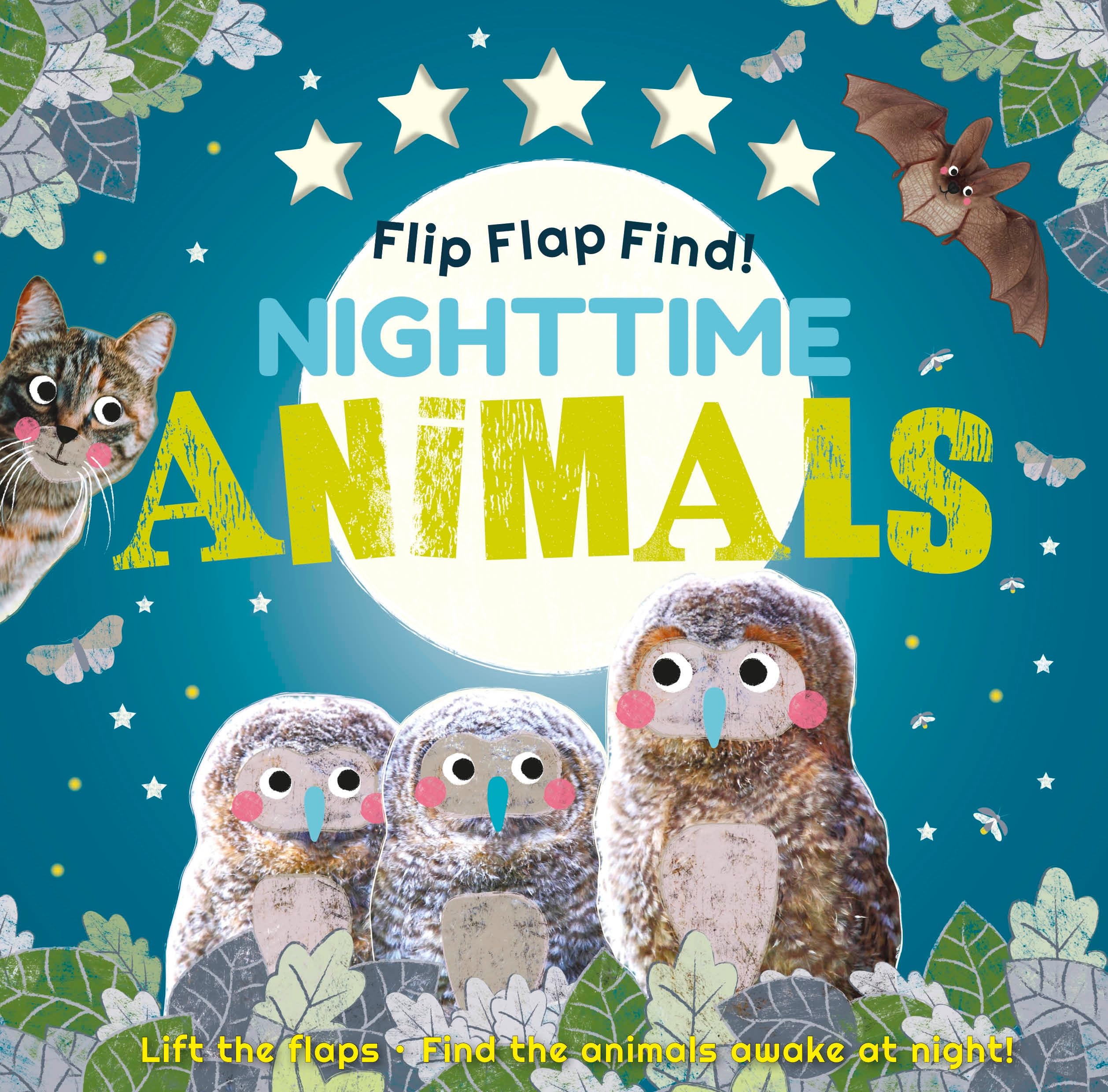 Flip Flap Find! Night-time Animals: Lift the flaps. Find the animals awake at night! Parents & Children