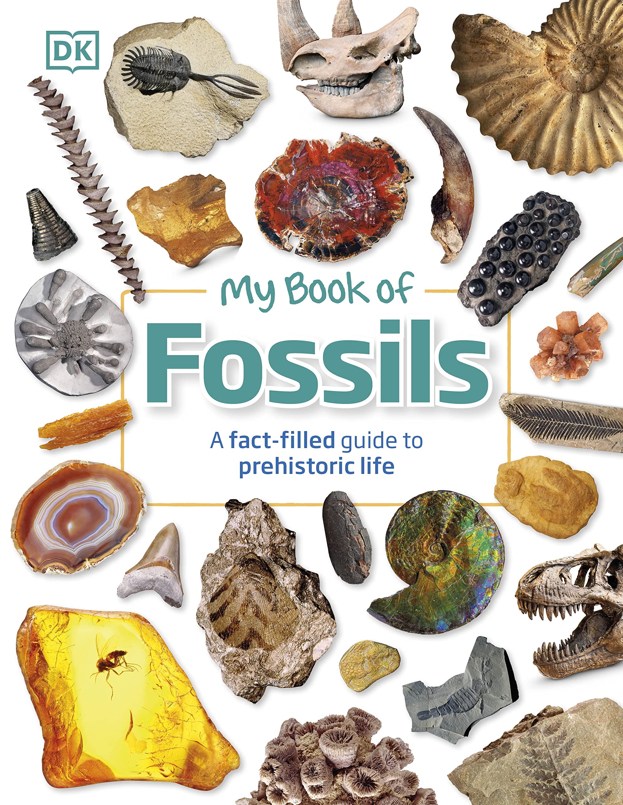 My Book of Fossils: A fact-filled guide to prehistoric life Non-fiction