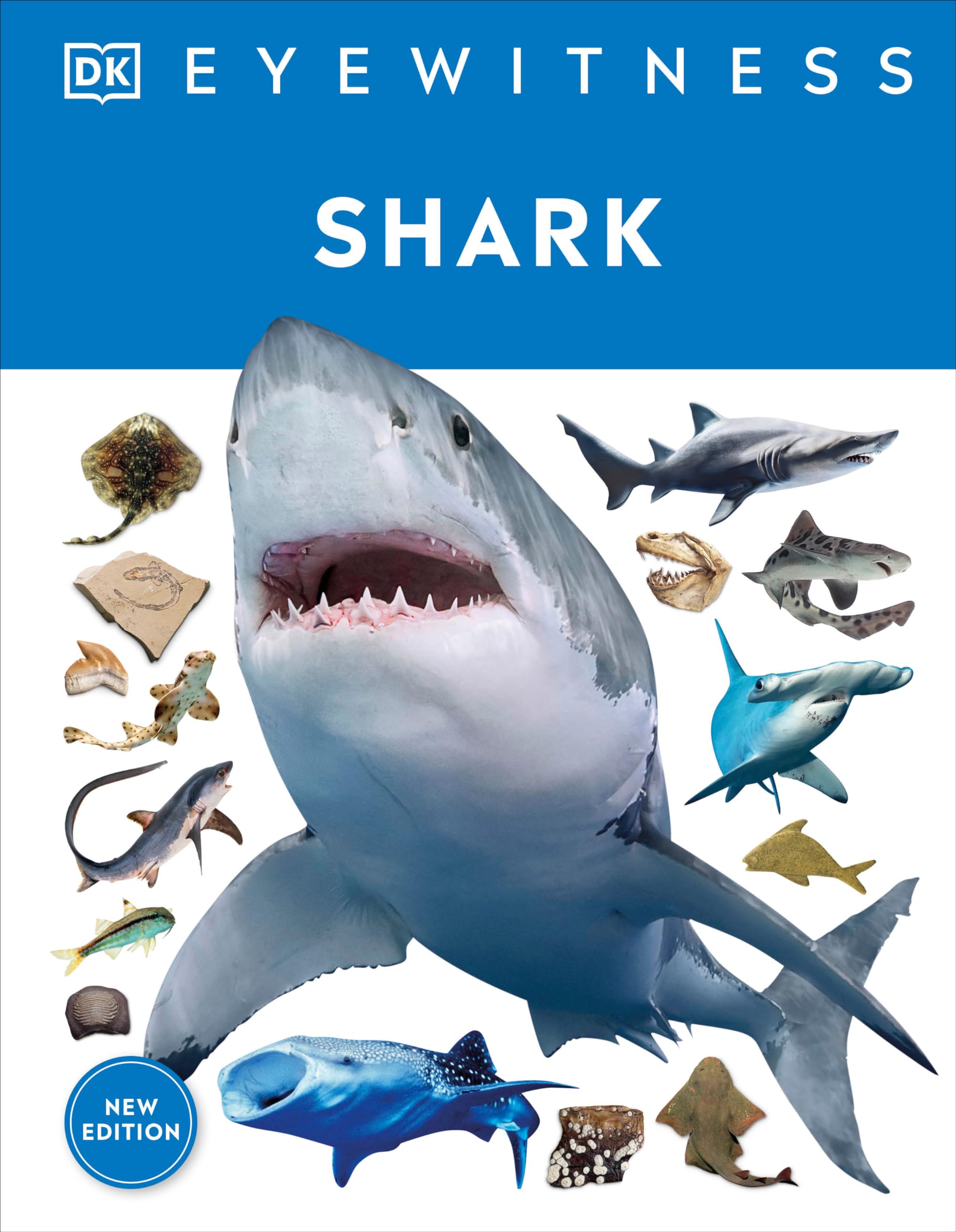 Eyewitness Shark: Dive into the fascinating world of sharks (DK Eyewitness) Non-fiction