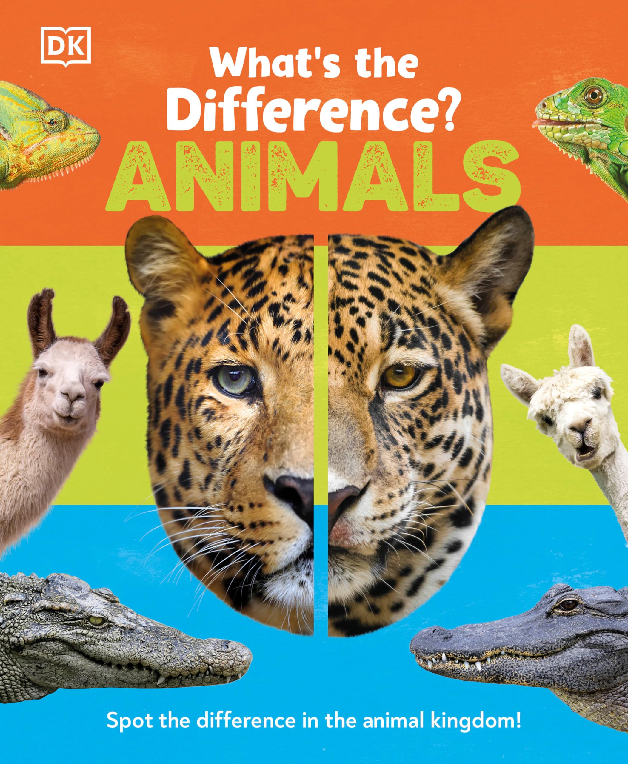What's the Difference? Animals: Spot the difference in the animal kingdom! Non-fiction