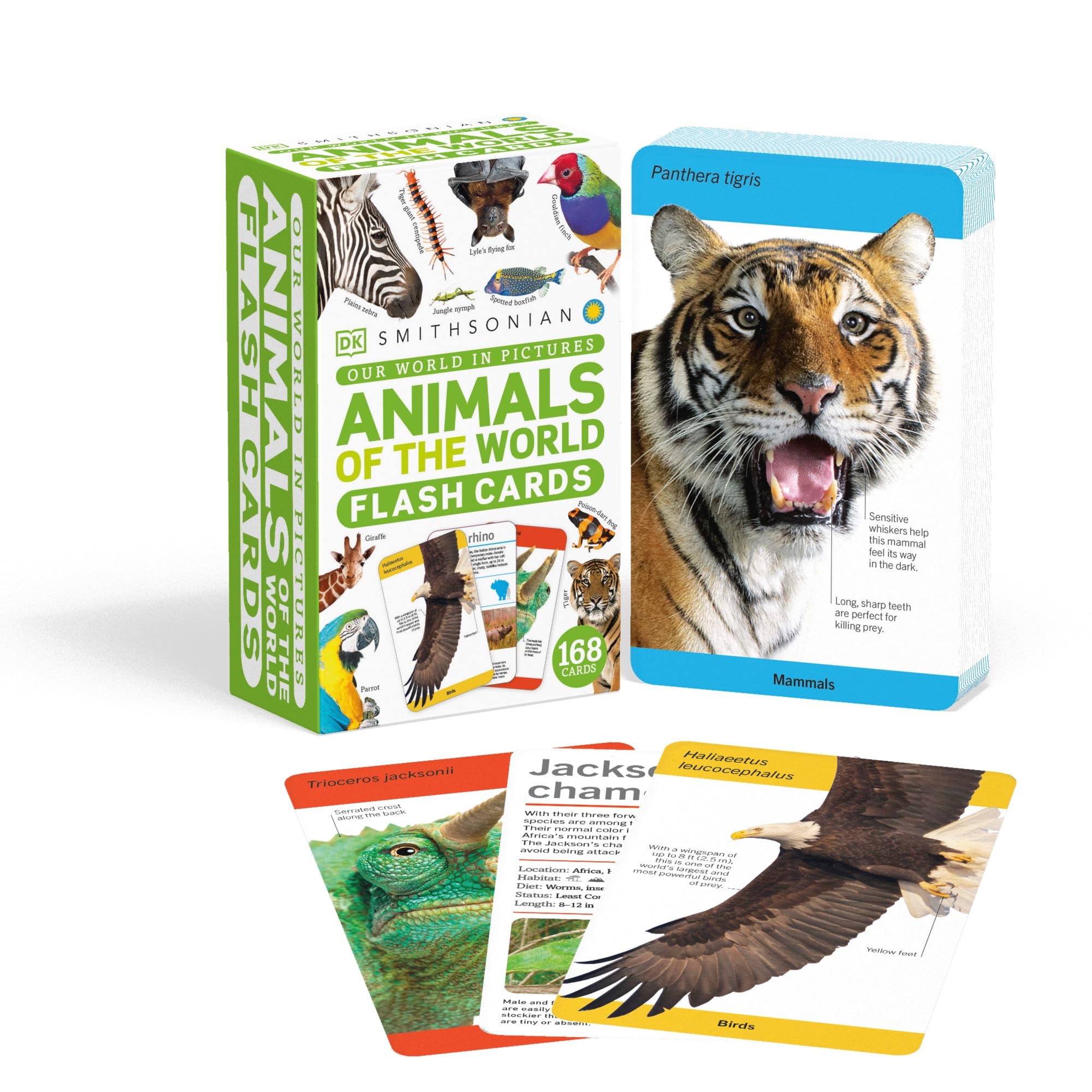 Our World in Pictures Animals of the World Flash Cards (DK Our World in Pictures) Non-fiction