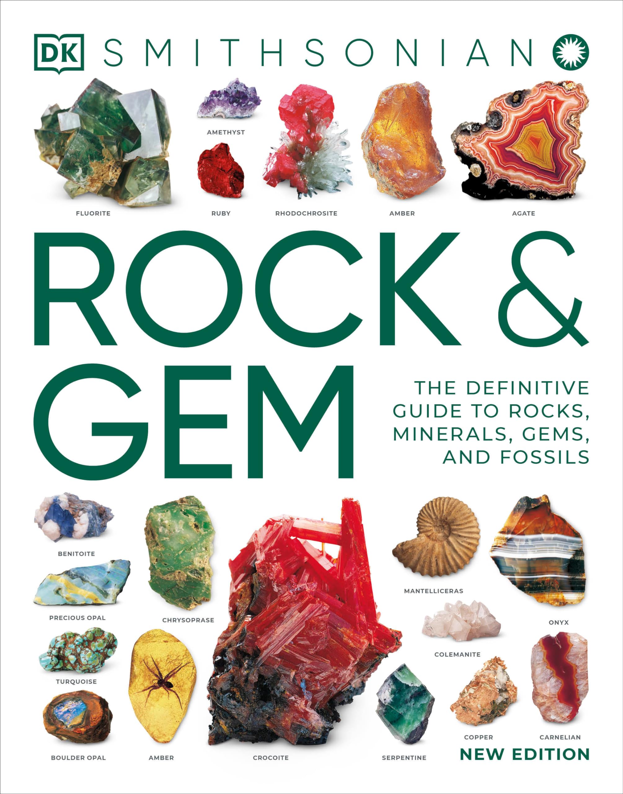 Rock and Gem: The Definitive Guide to Rocks, Minerals, Gems, and Fossils (Rock & Gem) Mathematics