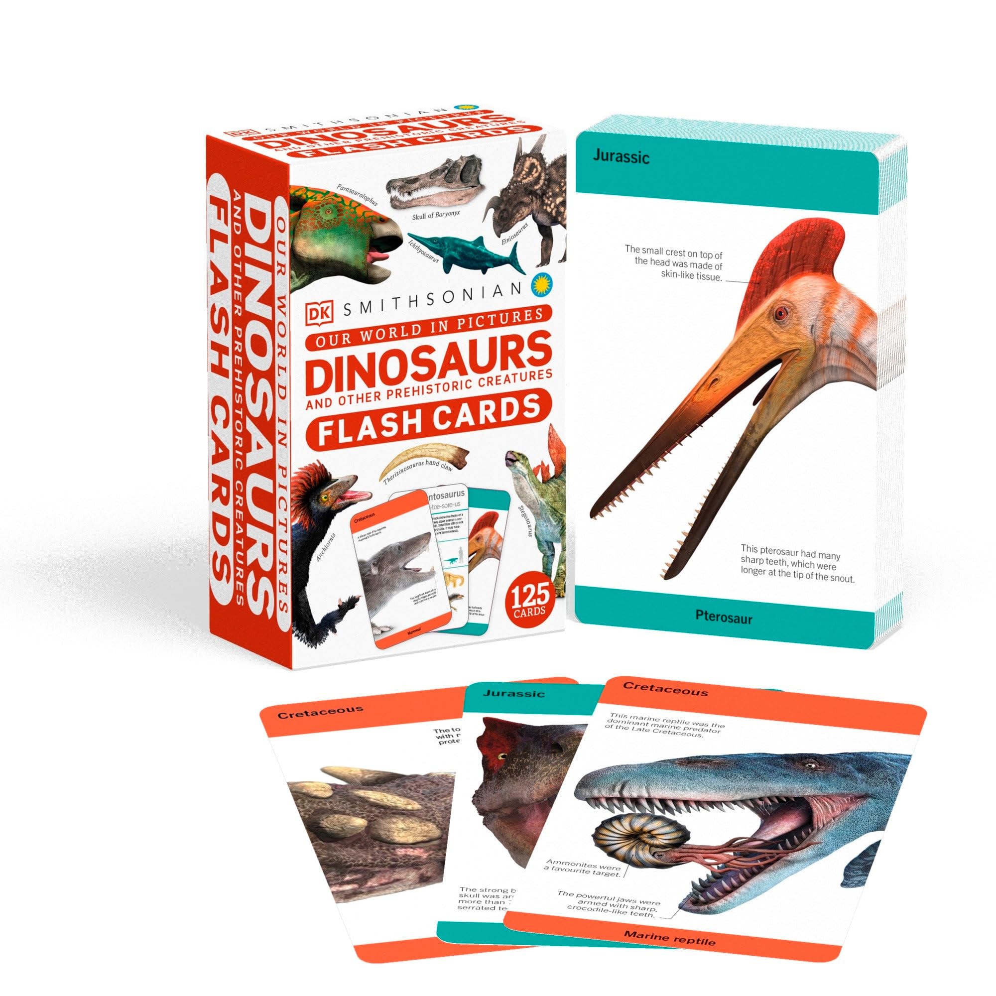 Our World in Pictures Dinosaurs and Other Prehistoric Creatures Flash Cards (DK Our World in Pictures) Computer Science
