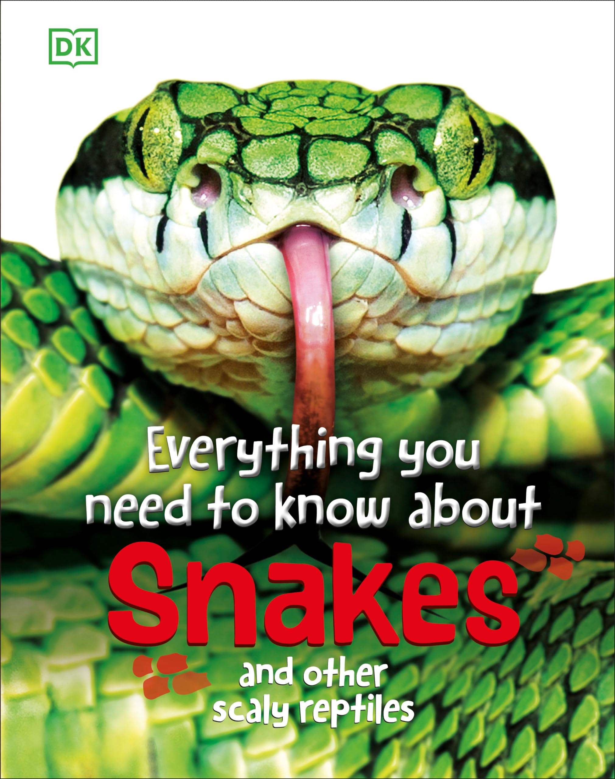 Everything You Need to Know About Snakes: And Other Scaly Reptiles Tiptoi & Games