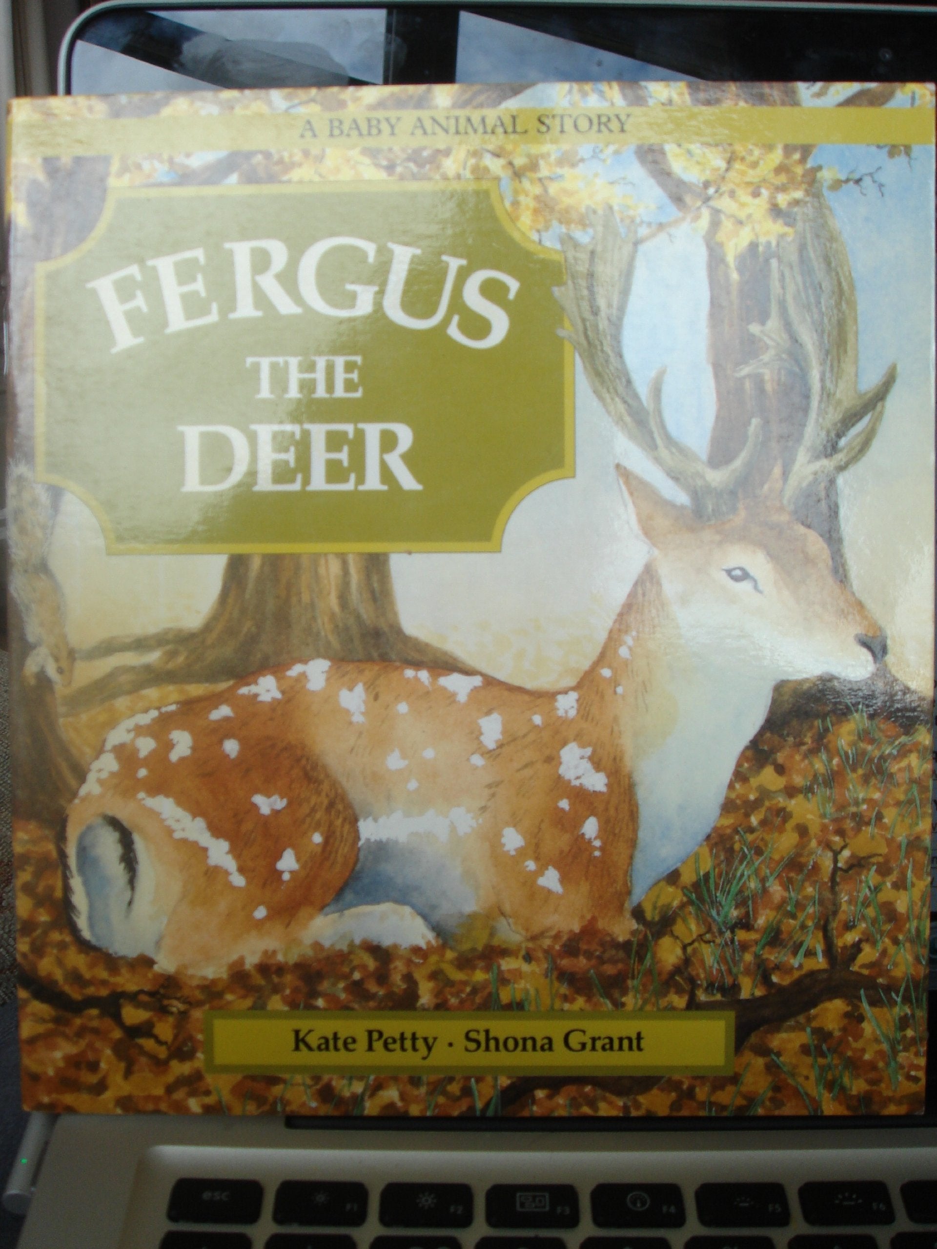 FERGUS THE DEER Books