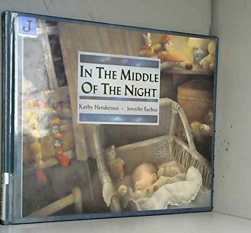 In The Middle Of The Night book