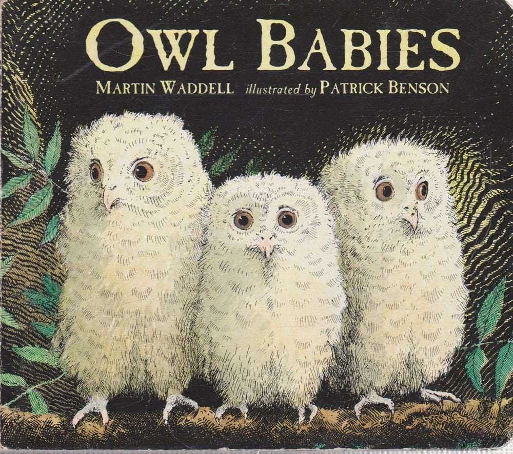 Product Image: Owl Babies