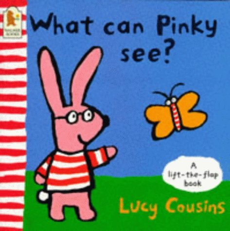 What Can Pinky See? Card Book Novels & Short Stories