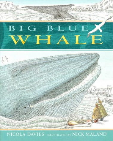 Big Blue Whale Non-fiction books for kids