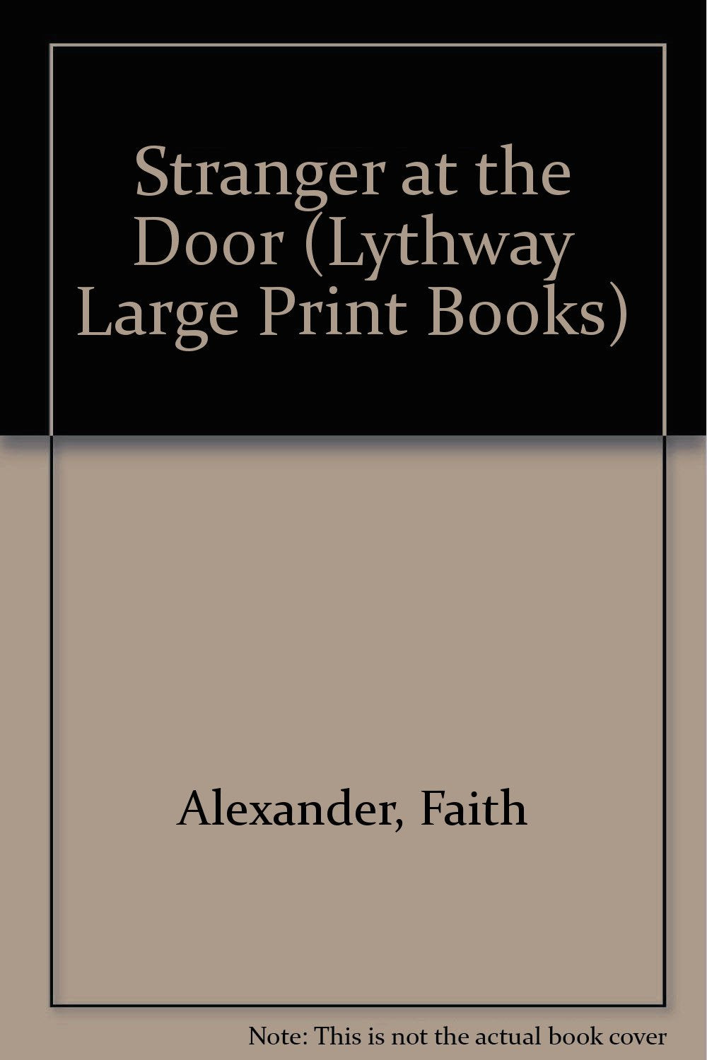 Stranger at the Door (Lythway Large Print Books) Contemporary literature