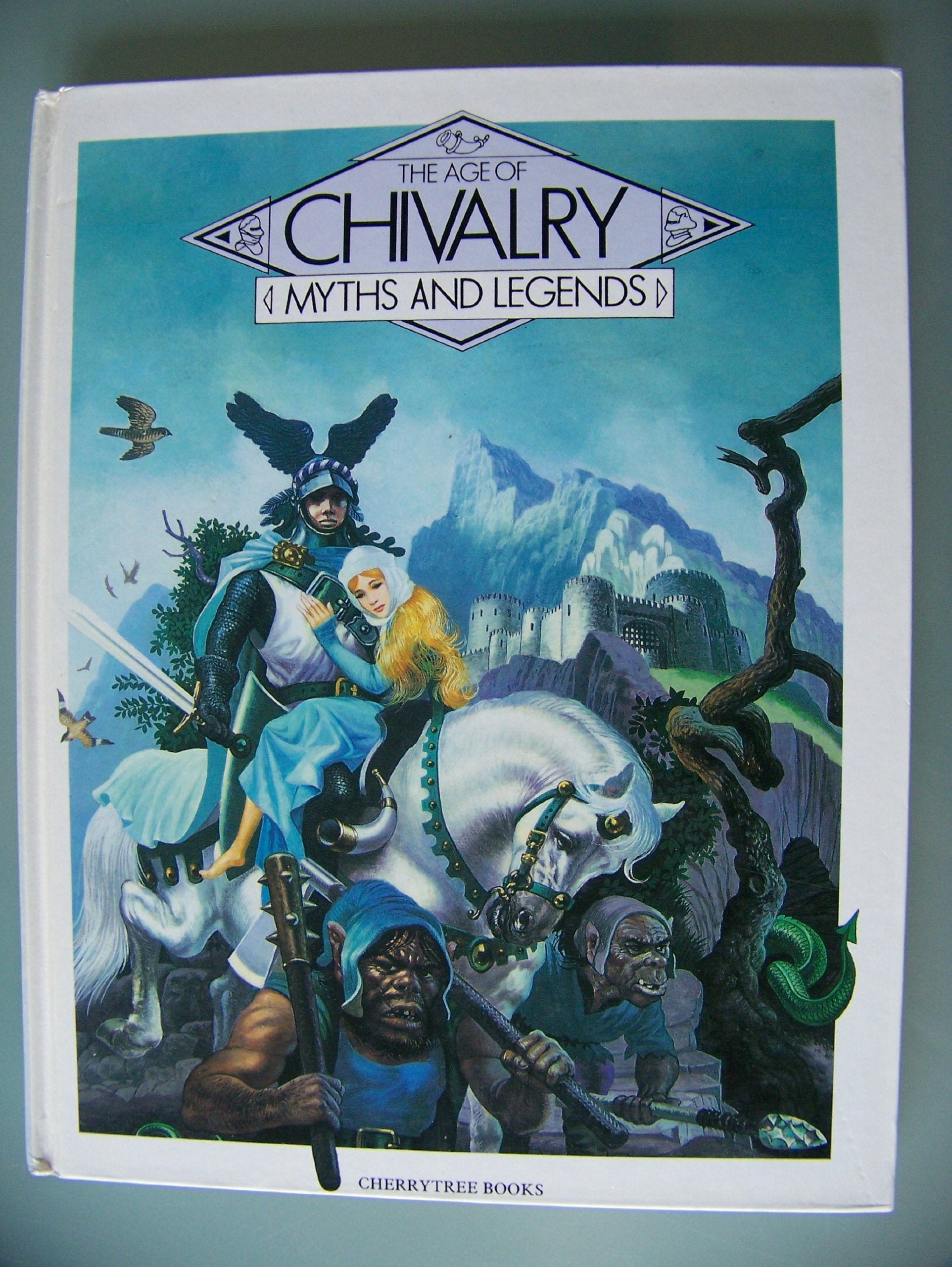 The Age of Chivalry book