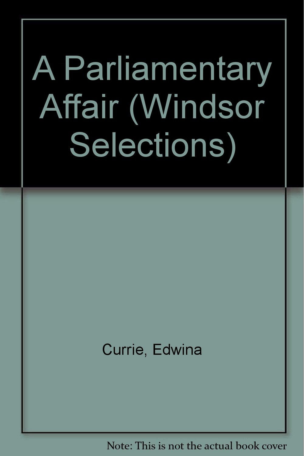 A Parliamentary Affair (Windsor Selections S.) Contemporary literature