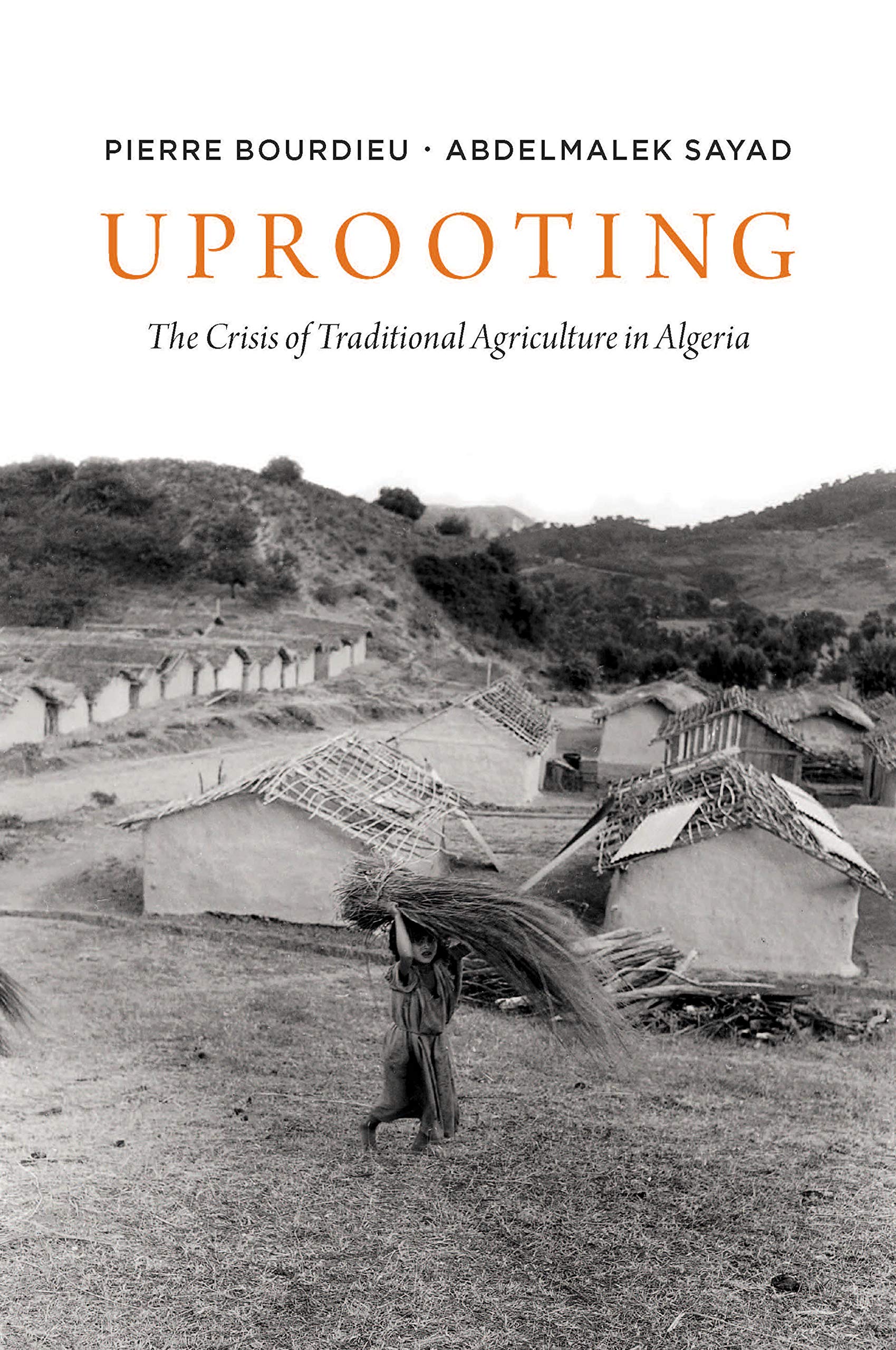 Uprooting: The Crisis of Traditional Algriculture in Algeria Law