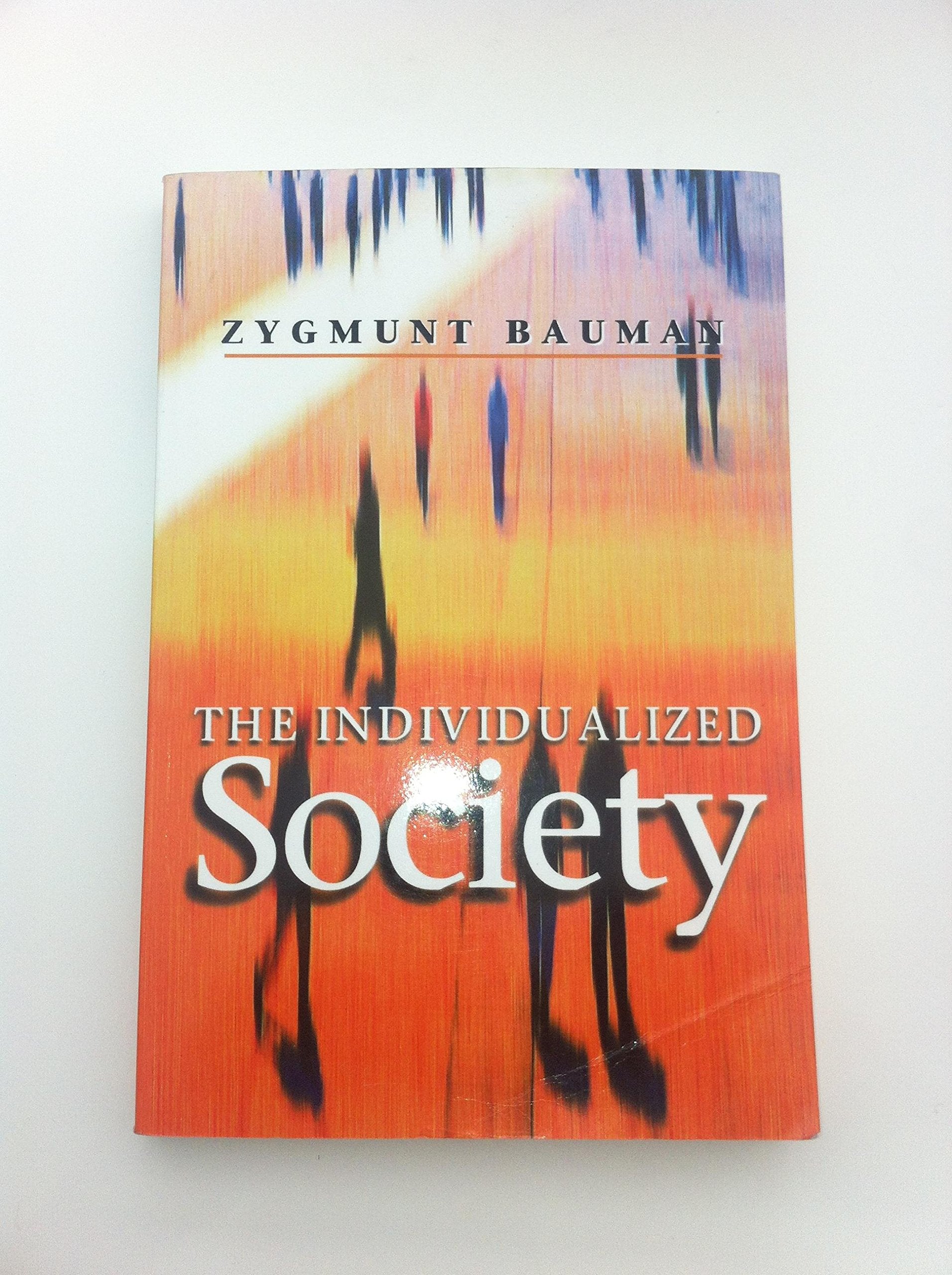 The Individualized Society book
