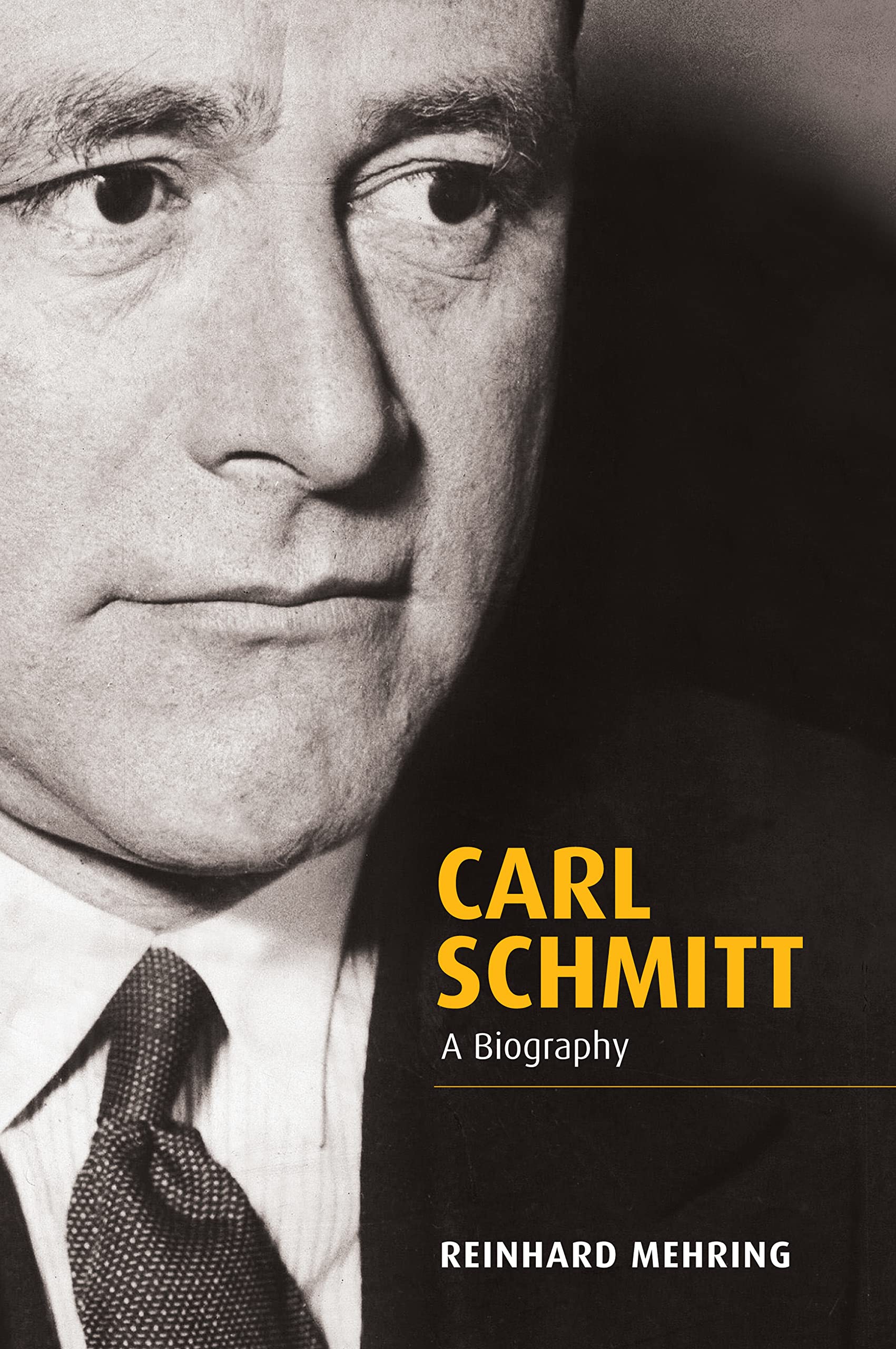 Carl Schmitt Law Books