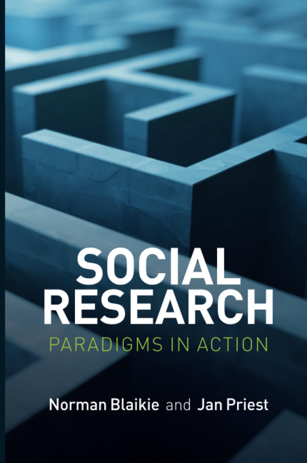 Social Research: Paradigms in Action Law