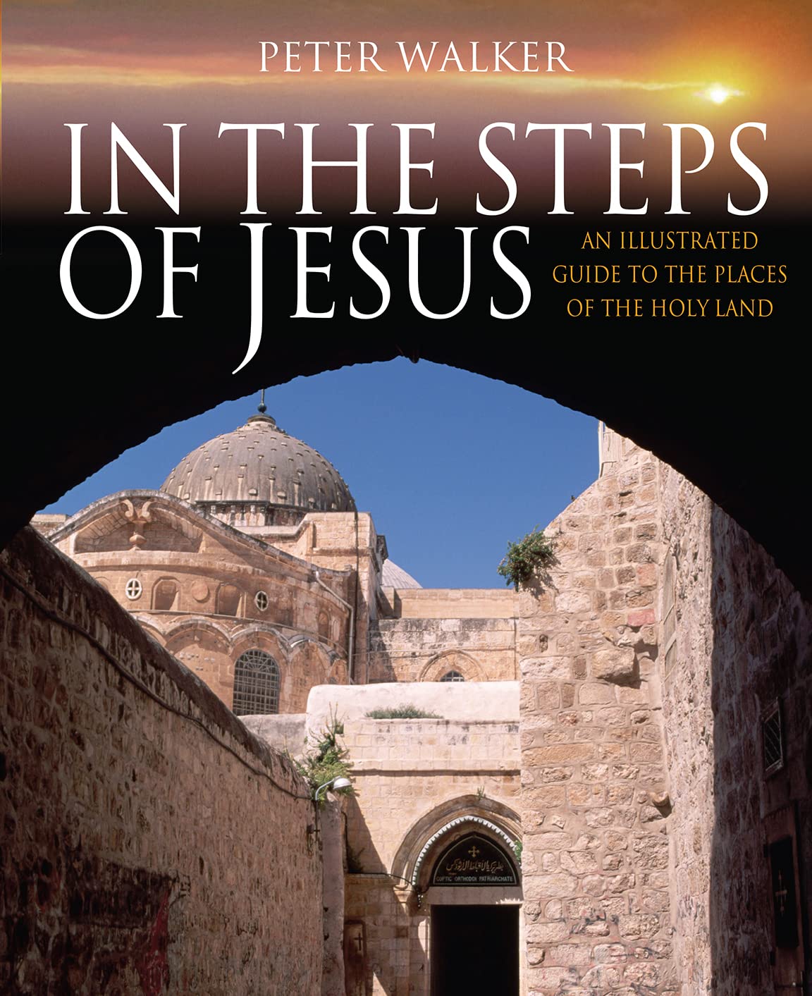 In the Steps of Jesus: An Illustrated Guide to the Places of the Holy Land (In the Steps of Series) Social Sciences