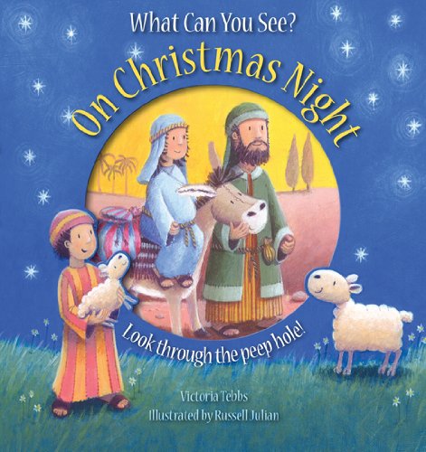 What Can You See? on Christmas Night book
