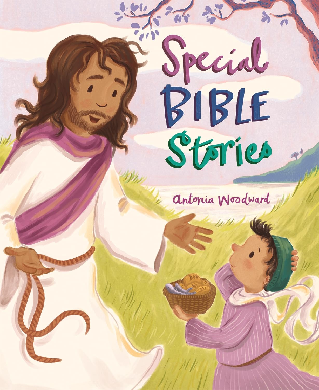 Special Bible Stories Non-fiction