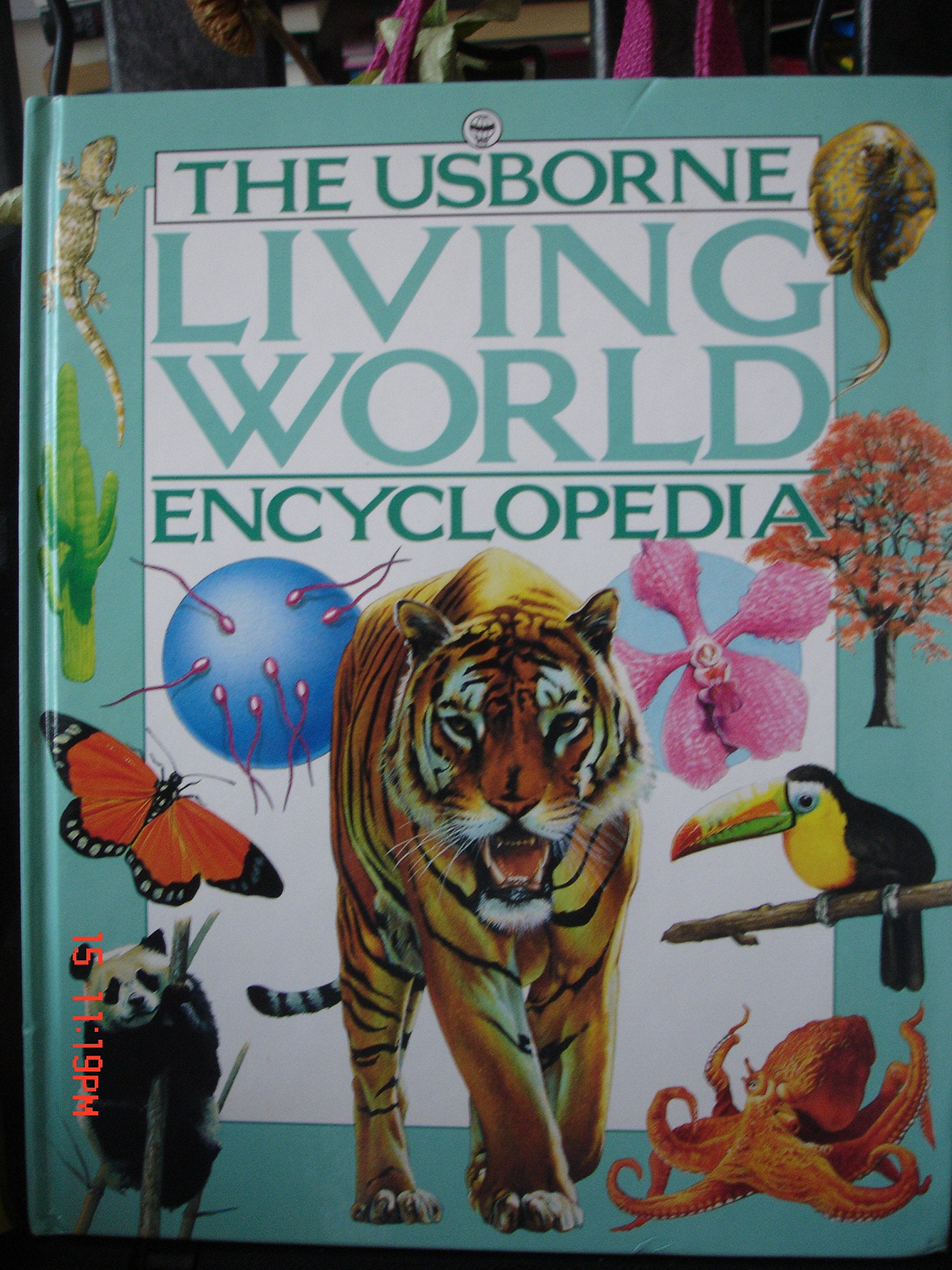 Usborne Living World Encyclopedia (Usborne Encyclopedias) Books