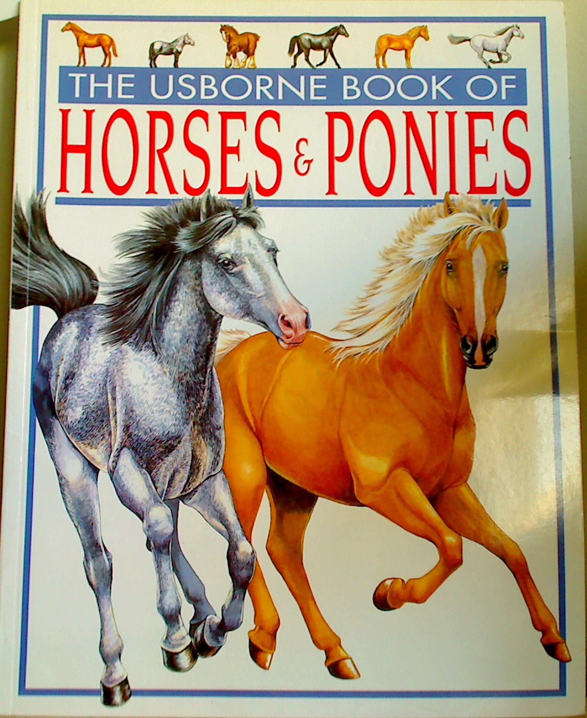 The Usborne Book of Horses and Ponies (Young Nature S.) Non-fiction