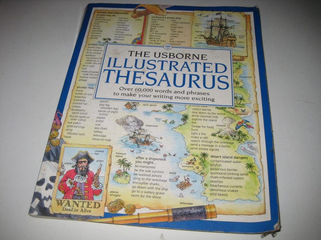 The Usborne Illustrated Thesaurus (Usborne Dictionaries) Non-fiction