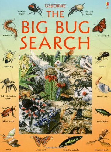 Product Image: The Big Bug Search (Usborne Great Searches)