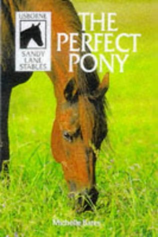 The Perfect Pony (Sandy Lane Stables, Band 8) Novels & Short Stories