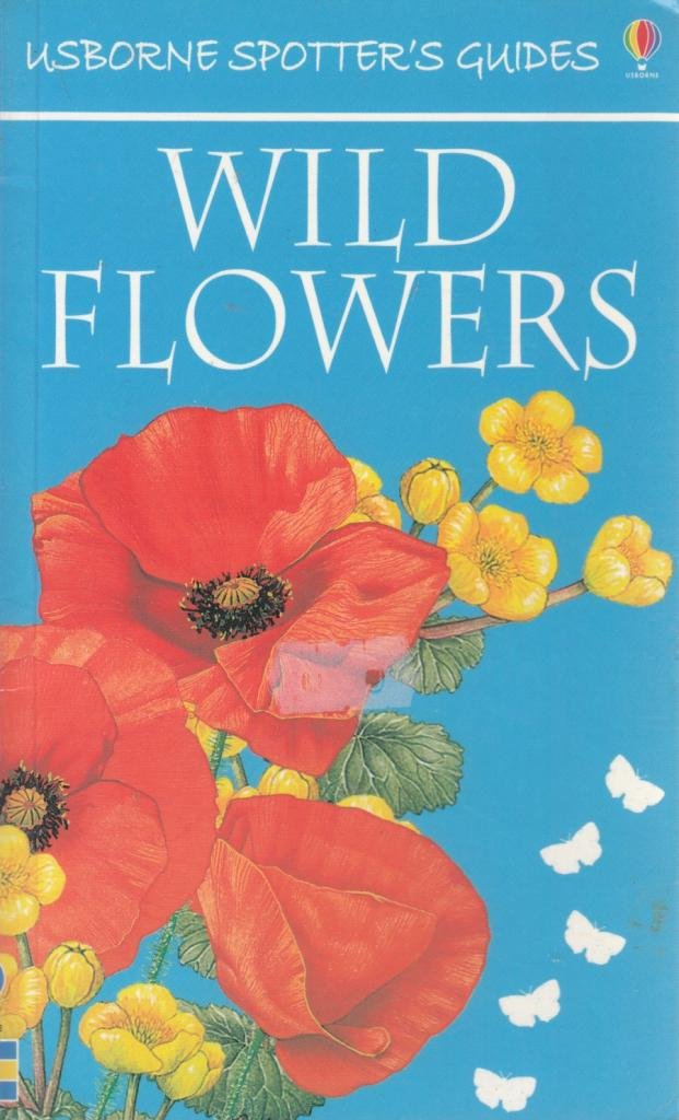Wild Flowers (Usborne New Spotters' Guides) Mathematics