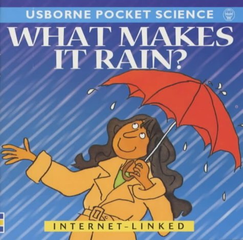 Product Image: What Makes it Rain? (Usborne Pocket Science S.)