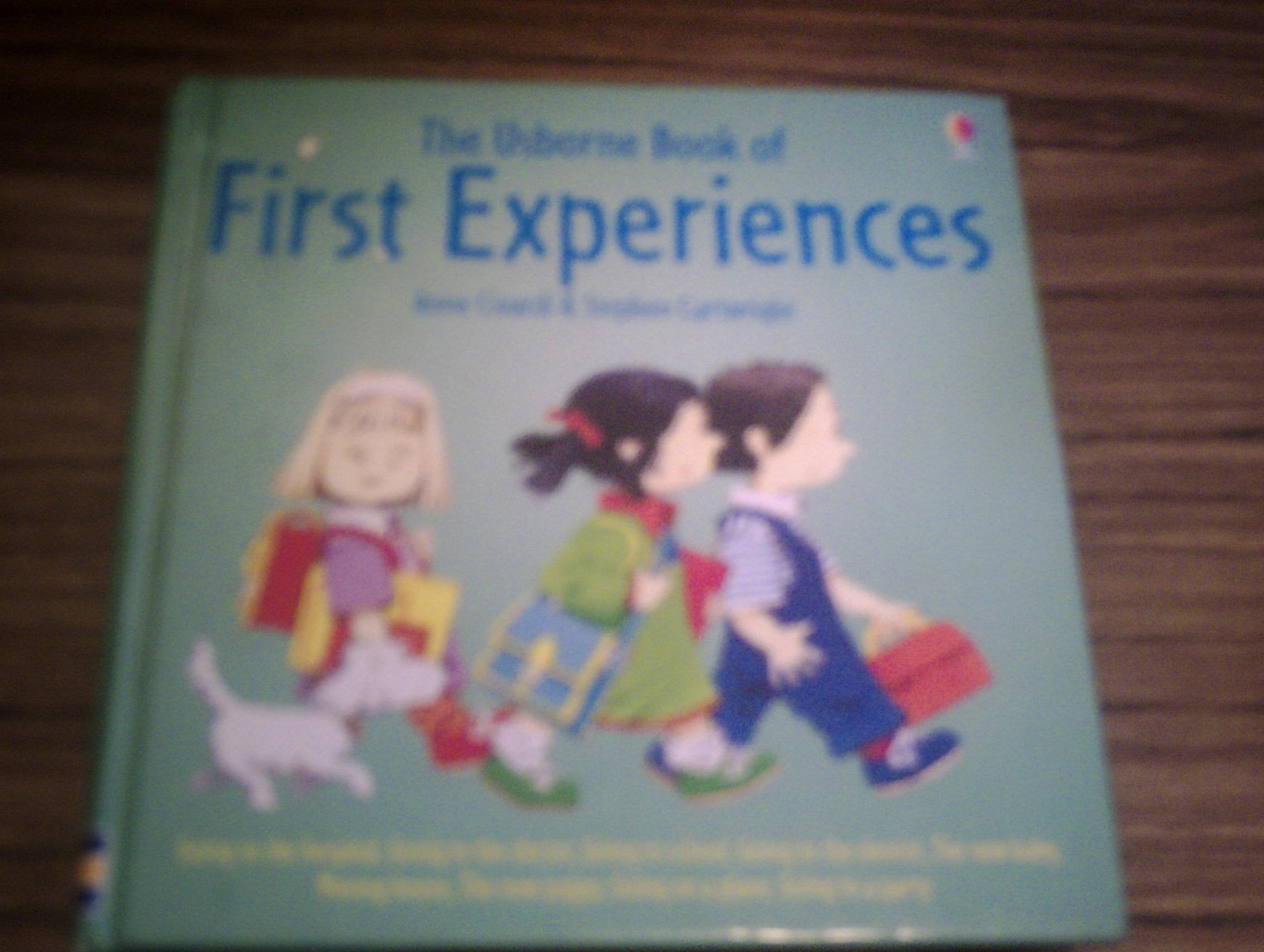 Product Image: The Usborne Book of First Experiences (Usborne First Experiences)