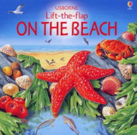 On the Beach (Lift the Flap Learners S.) Tiptoi & Games