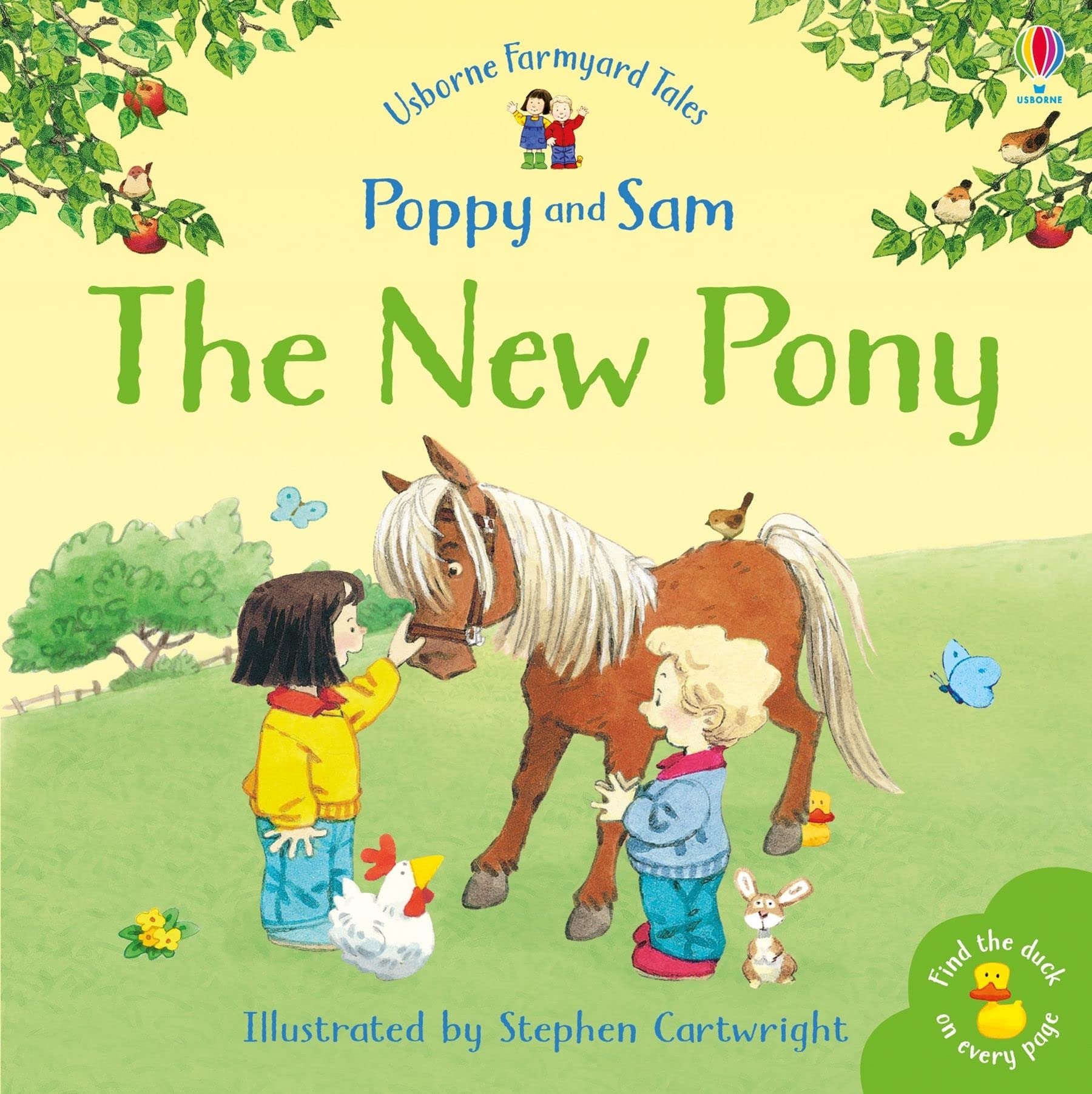 FYT MINI NEW PONY (Farmyard Tales) book