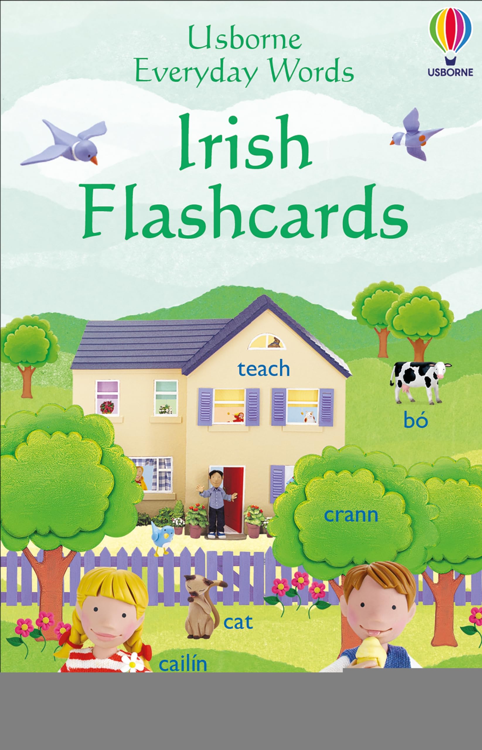 Everyday Words: Irish Flashcards (Everyday Words Flashcards) Reference Books