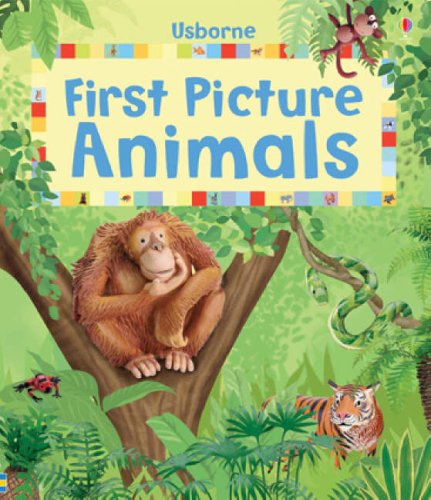 First Picture Animals (Usborne First Picture Books) Parents & Children