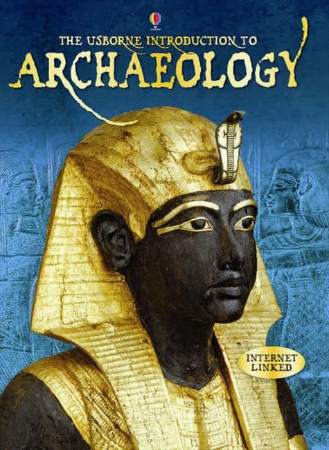 Introduction to Archaeology (Introductions) Non-fiction