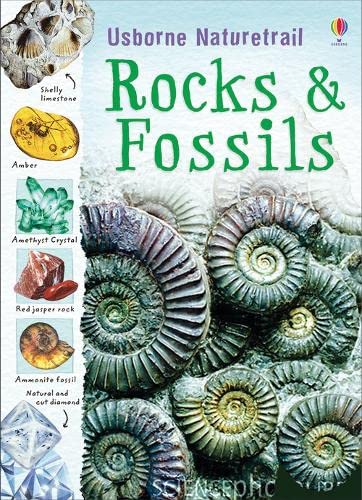 Rocks and Fossils (Naturetrail) Professional & Reference Books