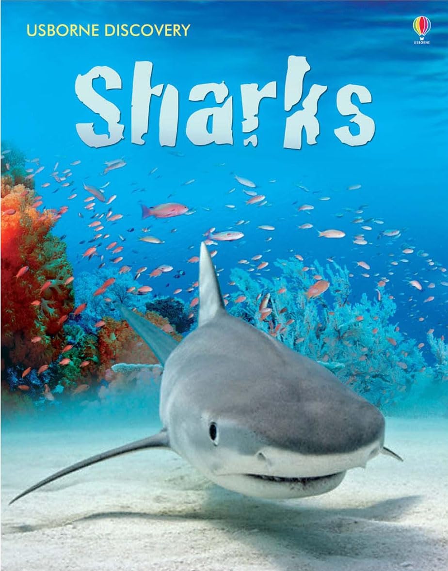Sheikh-Miller, J: Discovery Sharks Non-fiction