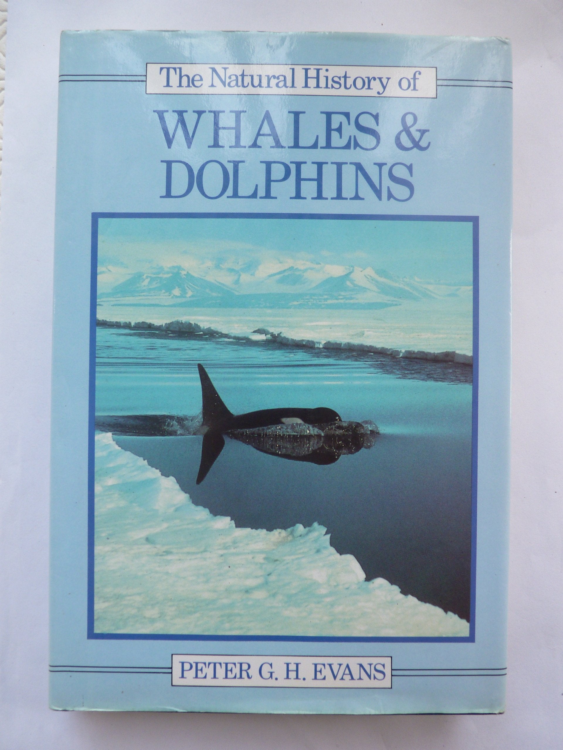 The Natural History of Whales and Dolphins Mathematics