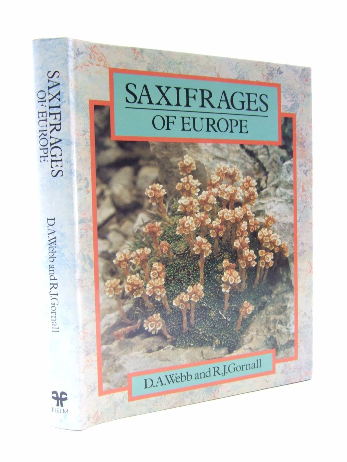 SAXIFRAGES OF EUROPE Garden & Plants