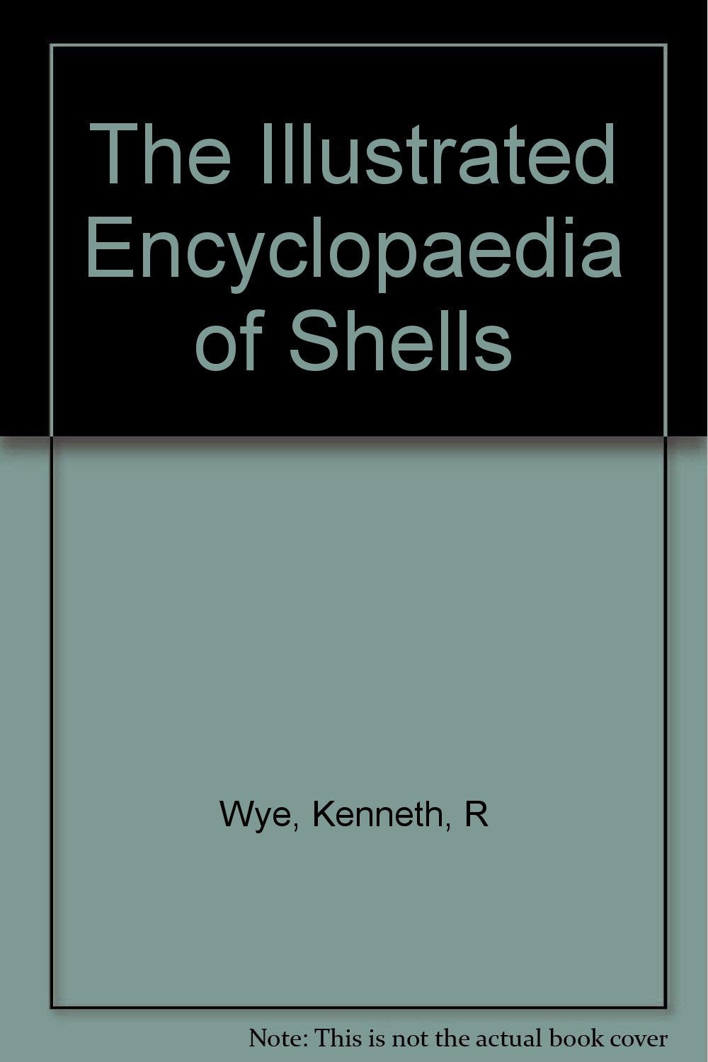 Illustrated Encyclopaedia of Shells Books